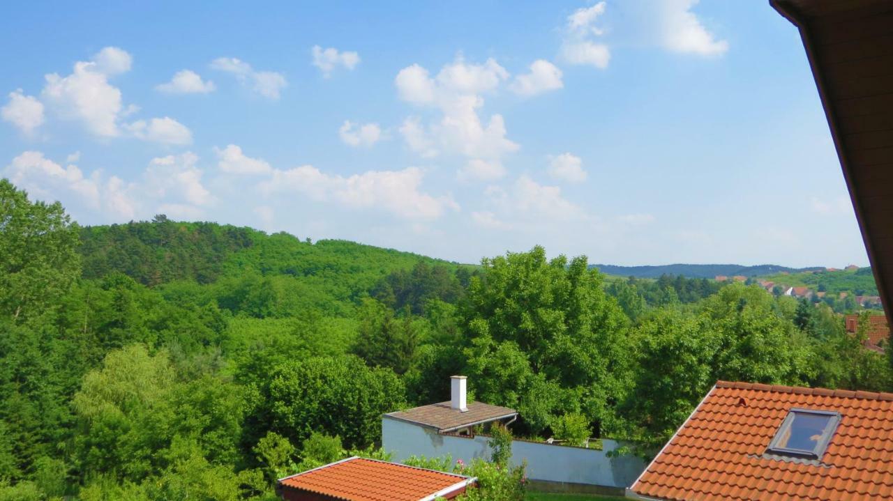 מלון אגרסאלוק Hoforras Wellness Vendeghaz מראה חיצוני תמונה